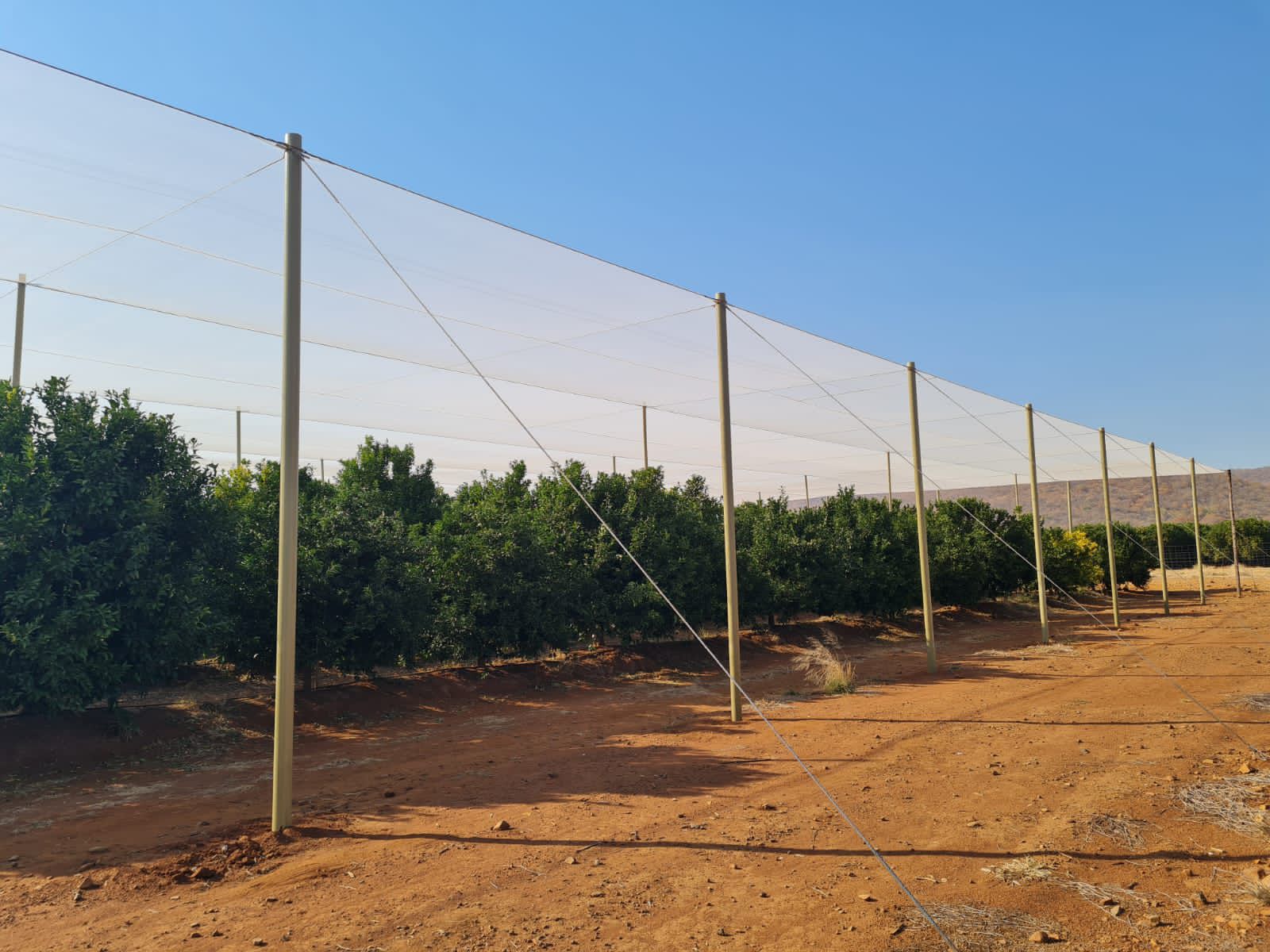 78mm pole in situ