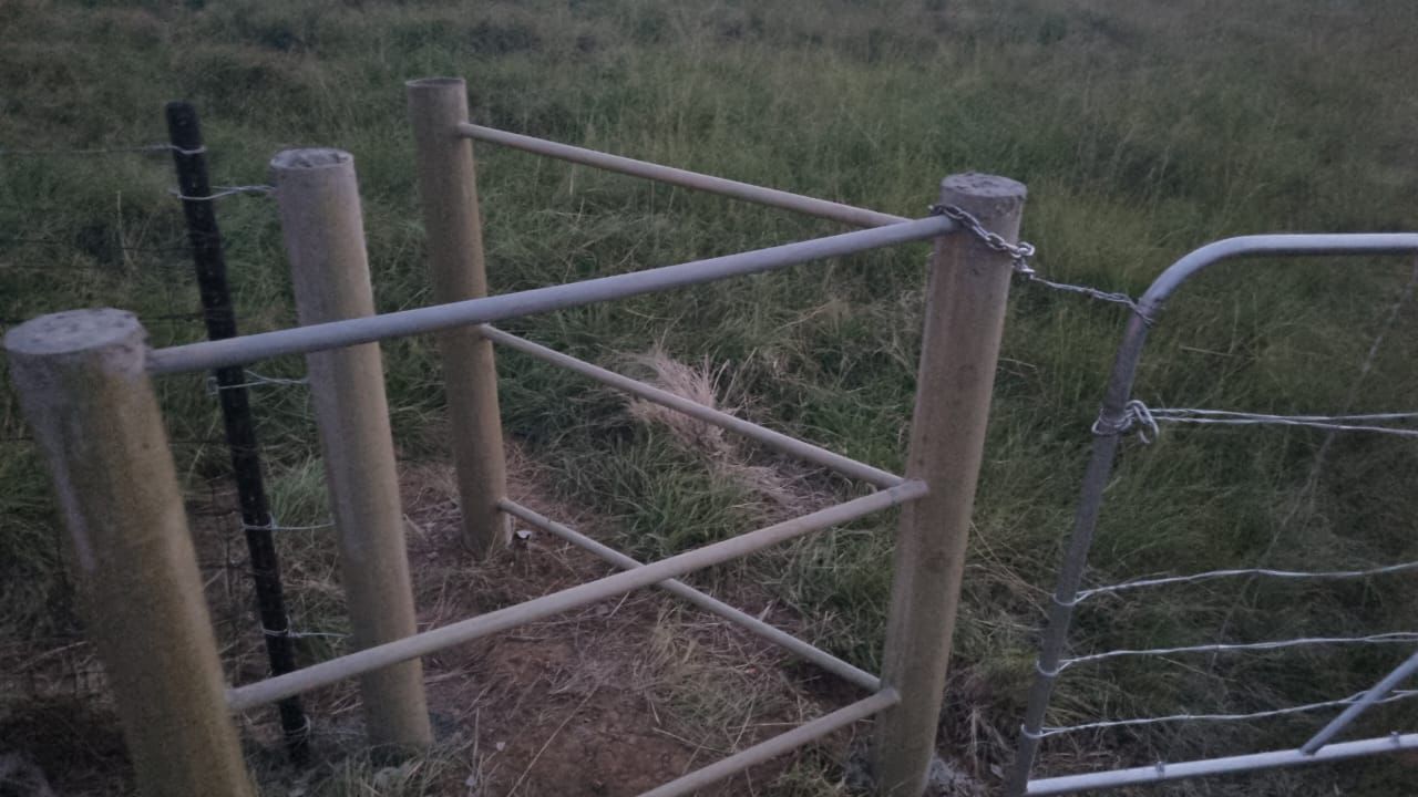 233mm pole in situ